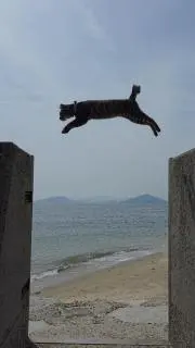 Excelの画像
