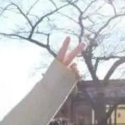 Image of かい