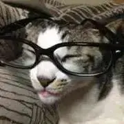 zzmrプロフ必読お願いしますの画像
