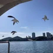 ひかり『即購入OK』の画像