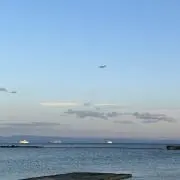 あおの画像