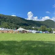 いおりの画像