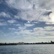 seaの画像