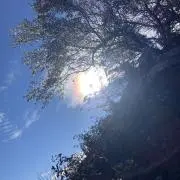 S.s