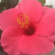 美蘭☆セール中