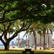 Hokuの画像