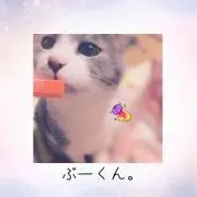 ぶーくん