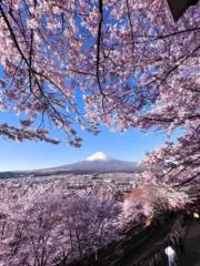 NSMR6546の画像