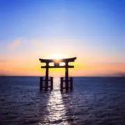 ひろひろ