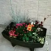flowerの画像