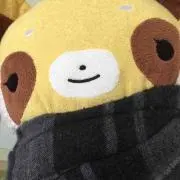 たむ
