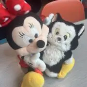 Yの画像