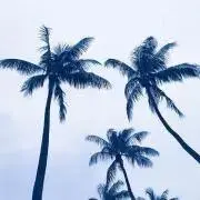 ♡