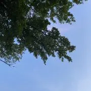 KWの画像