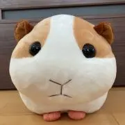 yanyunの画像