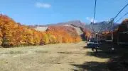 rururu♪の画像