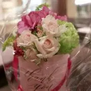 Mimiの画像