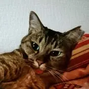 ミキちゃん