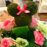 めぇ☆引越しのため断捨離中