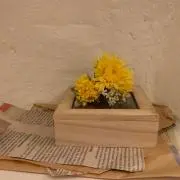 ちょこの画像