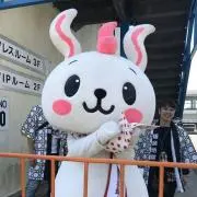 ひよちゃん