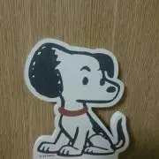 まめの画像