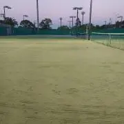 しらす