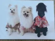 ソラメロ