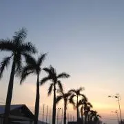 Meeの画像