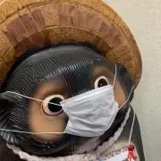 TANUKI-FACE