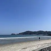 hana⁂即日発送・即購入OK⁂の画像
