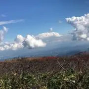 miniiの画像