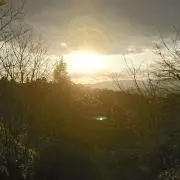 ☆mero☆の画像