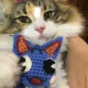 おげりの画像