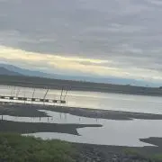Ayumuの画像