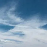 はな
