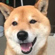 ちろりん☆の画像