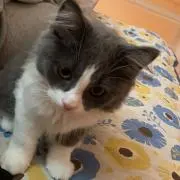 (プロフ必読)の画像