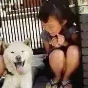 しろ❁﻿ (9/11まで発送お休み中)の画像