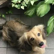 さえ⑅︎◡̈︎*