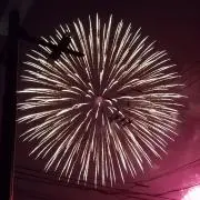 カトレア