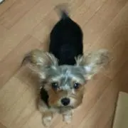 プロフィール読んでね⊂(^(工)^)⊃の画像