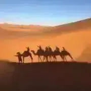 ピーチの画像