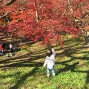 発送遅め