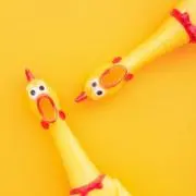 【プロフ必読！】ぷぅ太郎！断捨離中！の画像