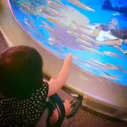 KANKANの画像