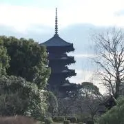 ゆきおの画像