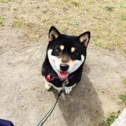 森田