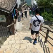 シラ