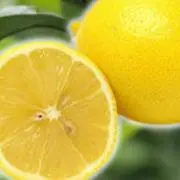 lemmon